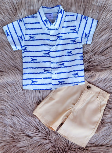 Shark Shorts Set
